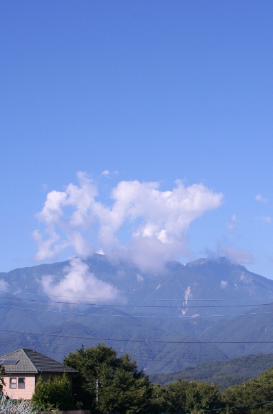 IMG_0019 (396x600)
