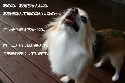 星
