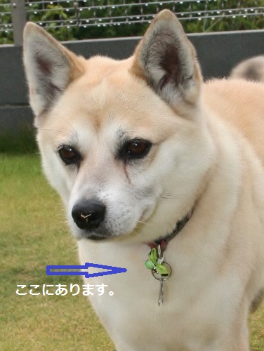 みるき~