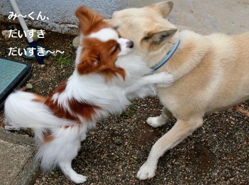 すき
