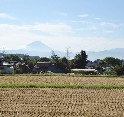 DSC00420 (500x474)