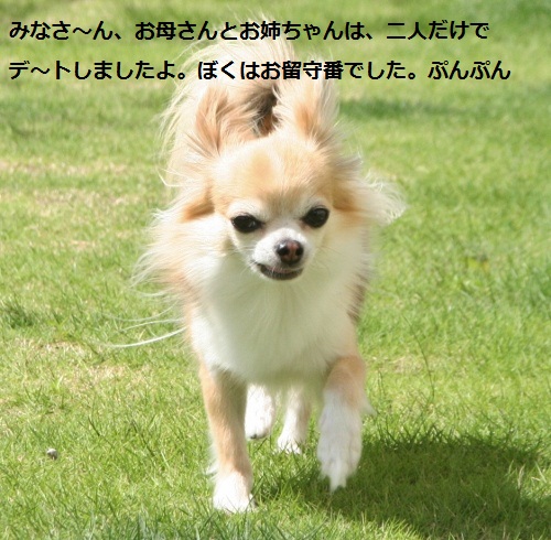 星