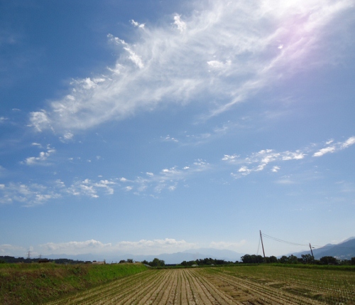 DSC00477 (500x429)