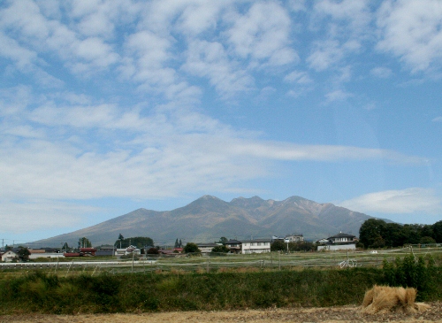 IMG_0063 (500x365)