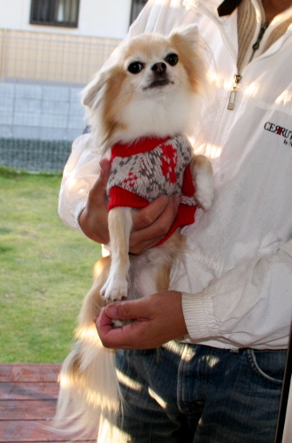 IMG_0126 (330x500)
