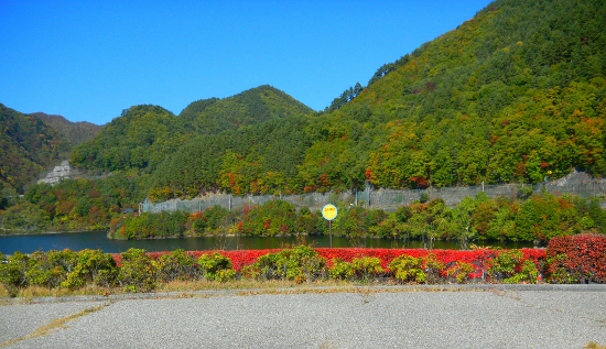 DSCN4541 (550x317)