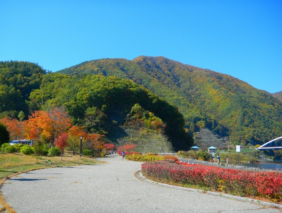DSCN4545 (550x416)