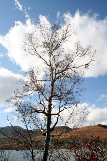 IMG_0301 (367x550)