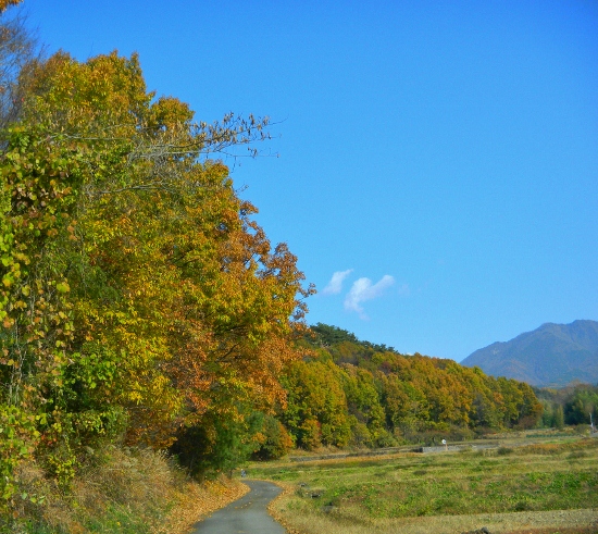 DSCN5254 (550x491)