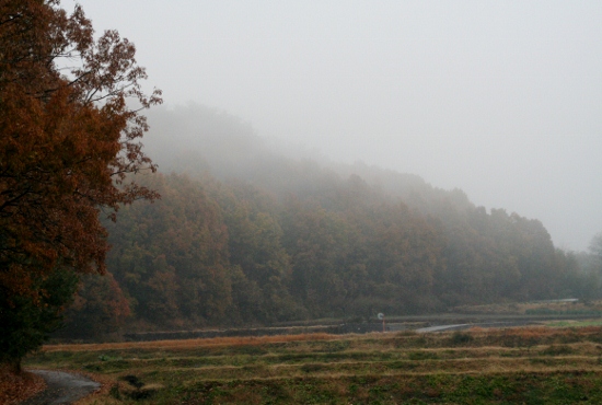 IMG_0009 (550x370)