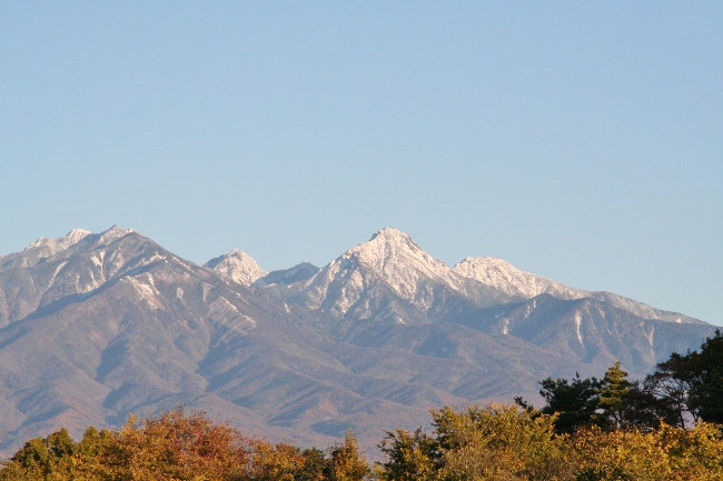 IMG_0006 (650x433)