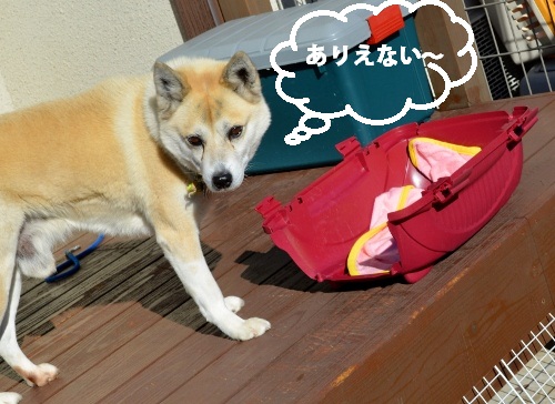みるきー