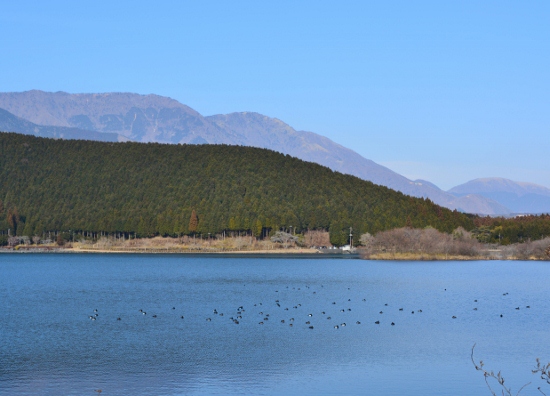 DSC_0035 (550x396)