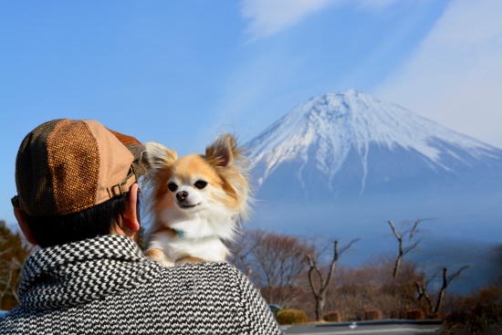 富士山ちいちゃん父ちゃん (550x367)