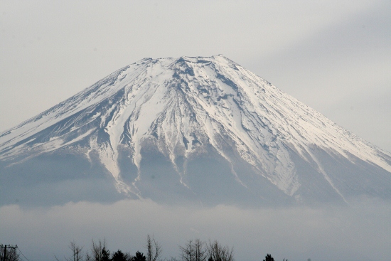 IMG_0020 (550x367)