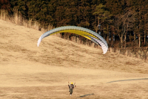 IMG_0109 (500x334)