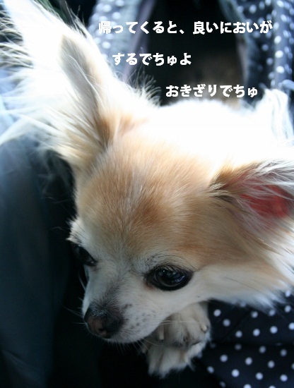 ほし53