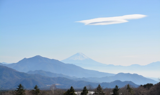 DSC_0108 (650x387)