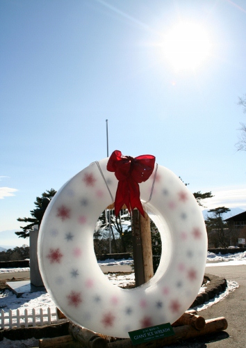 IMG_0172 (354x500)