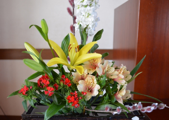 DSC_0034 (550x391)