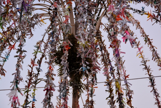 DSC_0176 (550x367)