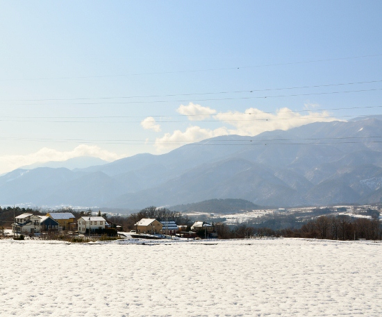 DSC_0012 (550x457) (2)