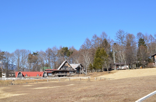 DSC_0070 (550x360)