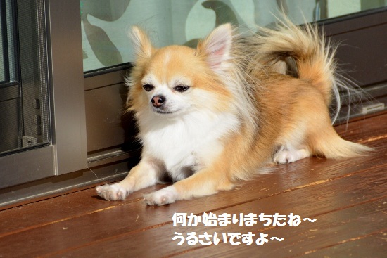 ほし3