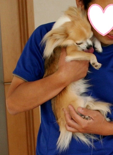 gomenn.jpg