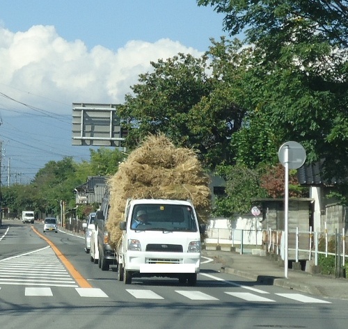 kuruma.jpg
