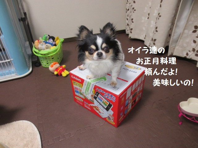 IMG_3750.jpg