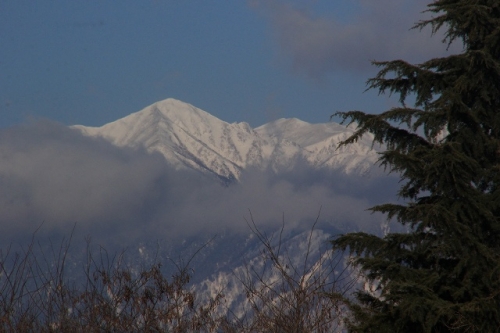 IMG_2599.jpg
