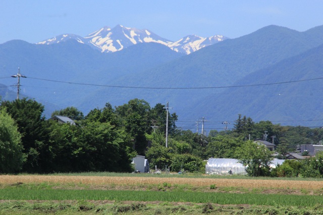 小春日和に遠くの山が良く見えて ２２日 雪割草の館