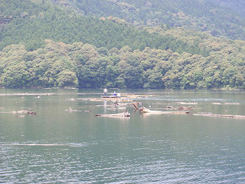 2012070102.jpg