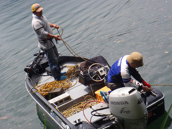2012070104.jpg