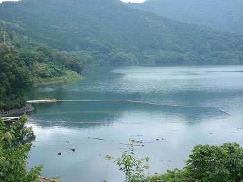 2012070107.jpg