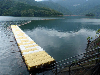2012070108.jpg
