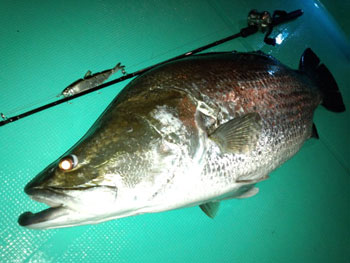 2012070901.jpg