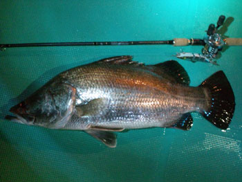 2012070903.jpg