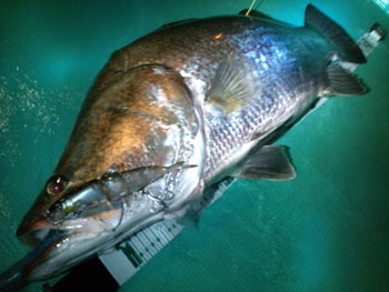 2012070904.jpg