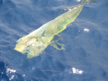 2012081004.jpg