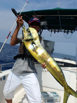 2012081005.jpg
