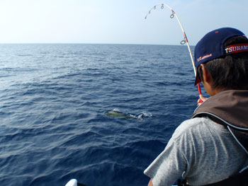 2012081006.jpg