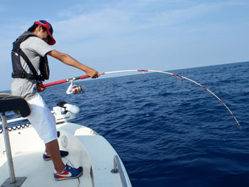 2012081007.jpg