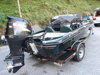 cobra175fc3.jpg