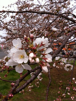 2013032305.jpg