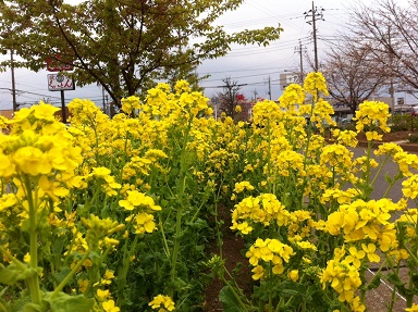 2013032310.jpg