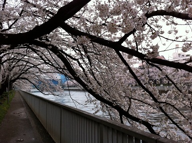 2013032702.jpg
