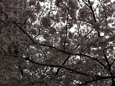 2013032703.jpg