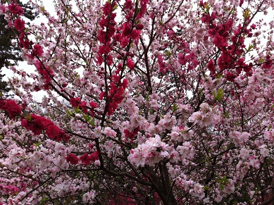 2013033023.jpg
